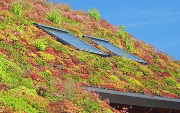 Sneyd Green living roof systems