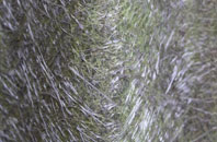 Sneyd Green fibreglass roof work